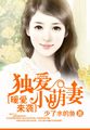凌总追妻有点甜