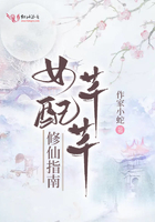 悬崖上的爱