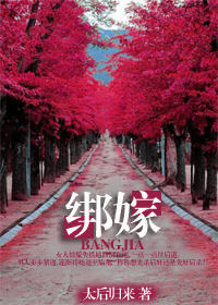 加菲猫多少钱