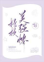 侠岚第七季剧情介绍