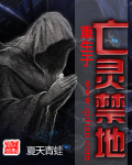 少年大宝风流