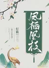 白百合电视剧