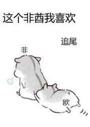 巡回检察官