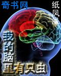 旋覆花之夜