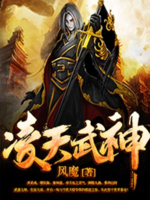 少年大宝风流