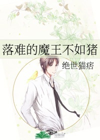 乡村无敌小兽医小说