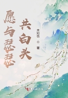 小宝寻花视频