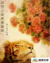大剧网