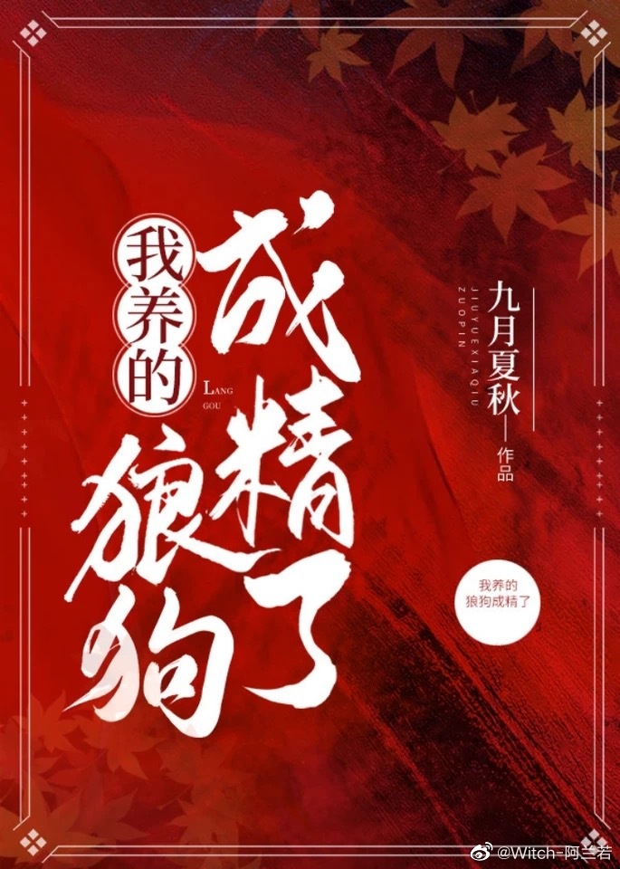 聚合直播