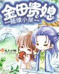 最新免费直播盒子