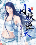 长沙品茶600左右的价位