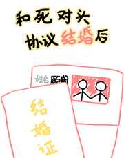 桃花岛视频