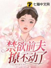 成人电视剧