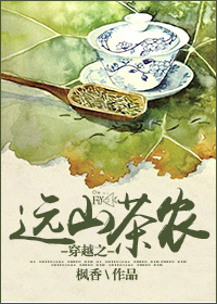 意外有了皇帝的孩子