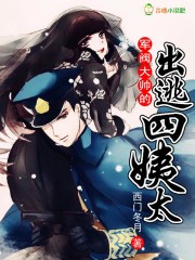 512g固态硬盘够用吗