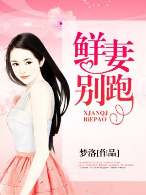凡尘的月亮作品集