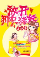 金装四大才子