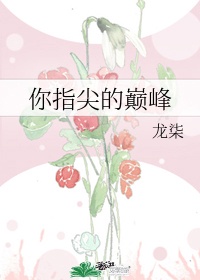刺客魔传