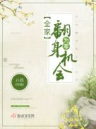 柳龙庭传网剧在线观看