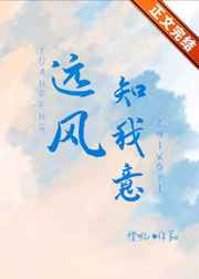 chinesegay视频