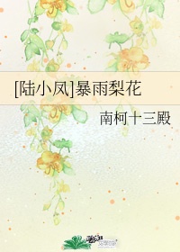 女子大乱斗无删减版全集