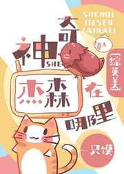 肥婆bb