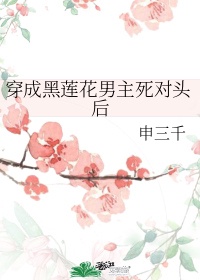 搞黄小说
