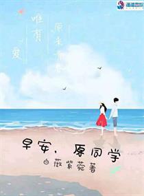 365天和黑道老大第二部免费观看2美剧天堂