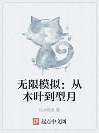 湖南张丽与老外图片