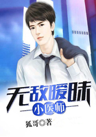3dviacomposer播放