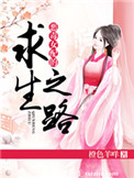 高清迷片