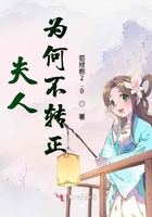 猪猪侠之积木世界