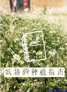 k4pp手机福盒子