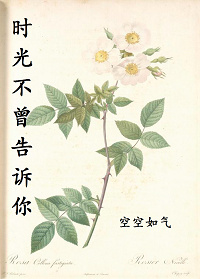 野小子的升官路
