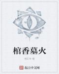 索多玛的猫
