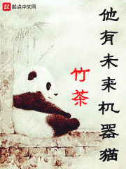 厨房奸母