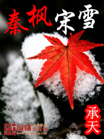 少女大召唤如倾如诉小说