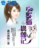 日本黄页视频在线观看