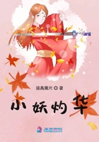缘分的天空动漫