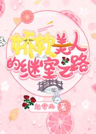 突击再突击电视剧全集免费观看