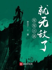 枫可怜作品