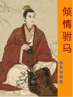 一区二区视频在线观看高清视频在线