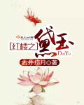 寡妇大J8又粗又大