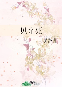 我的团长我的团无删减版