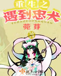 都市极乐后宫最新章节