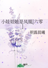广东叶家