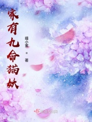 霹雳娇娃