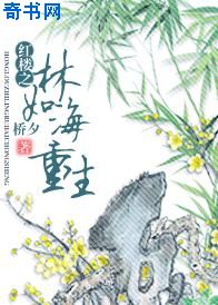 龙探