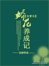 民兵葛二蛋电视剧全集免费观看高清
