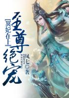 叶婉婉司夜寒小说完结